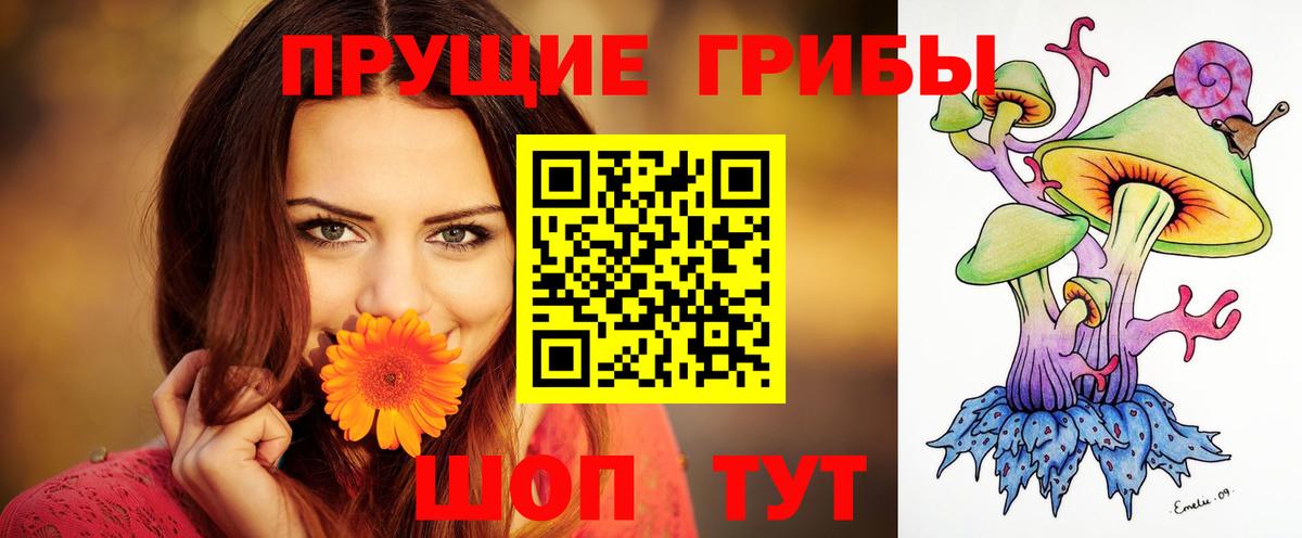 Красный Сулин  Псилоцибиновые грибы Psilocybe  где купить наркоту  Вход с VPN 