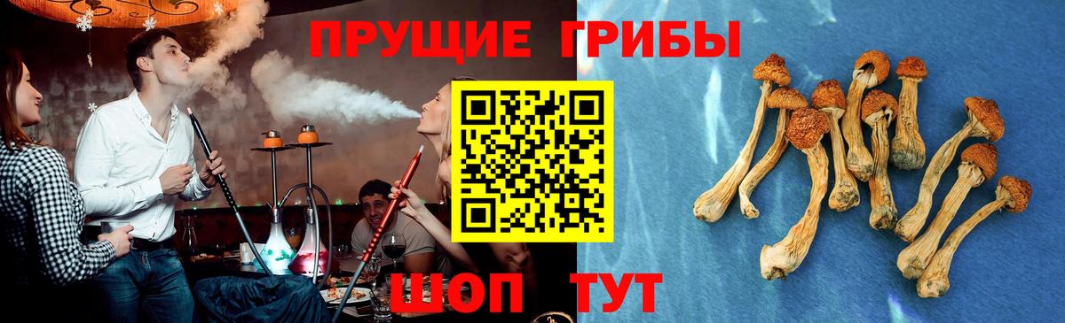 Псилоцибиновые грибы Magic Shrooms Красный Сулин